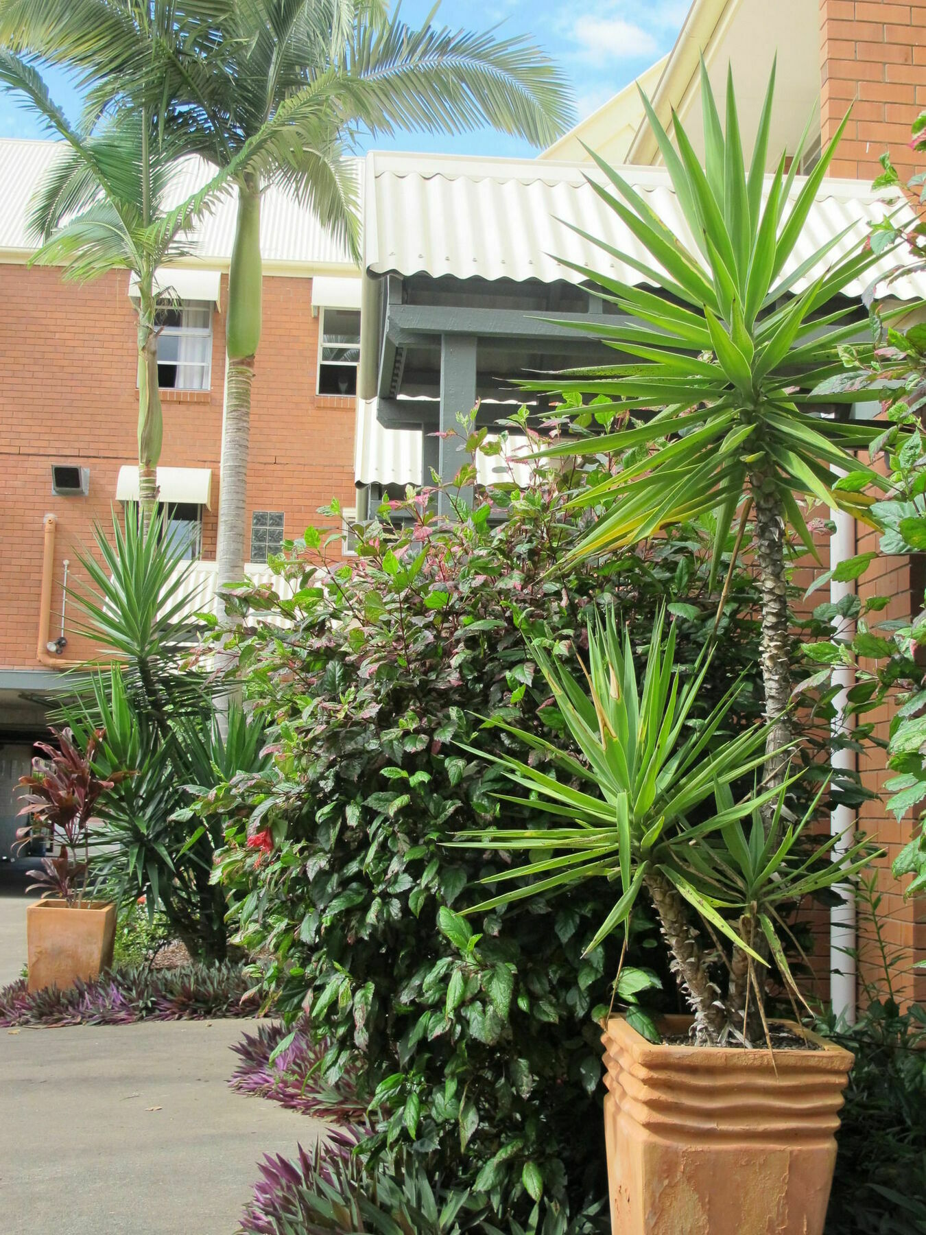 Hotel Spring Hill Terraces Brisbane Exterior foto